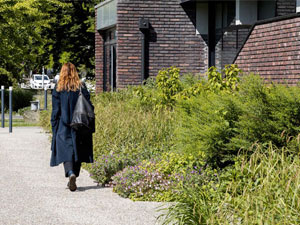 Amenagement du Campus de Rouen, Arc en Terre paysagistes