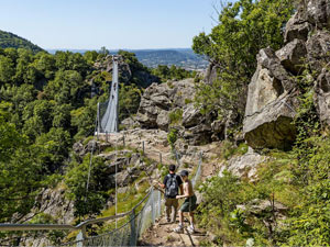 Passerelle de Mazamet, Alpes et ERIC ingénieurs